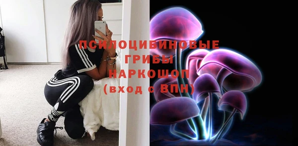 СК Абдулино