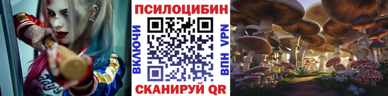Галлюциногенные грибы GOLDEN TEACHER  Яблоновский 